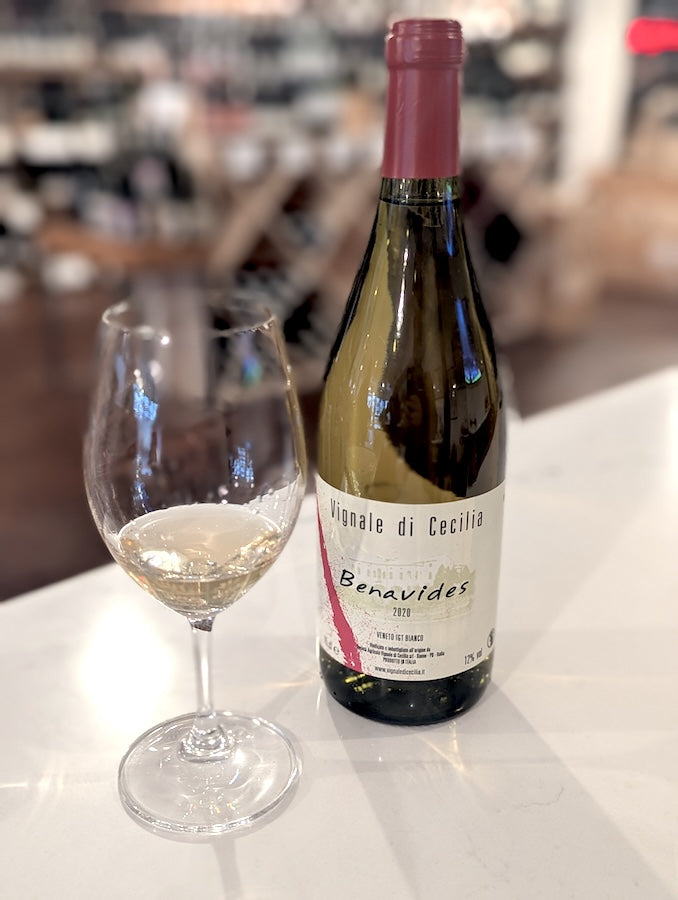 Vignale di Cecilia Veneto Bianco Benavides 2020